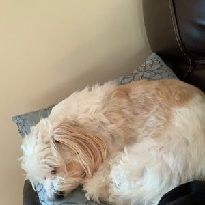 Meet your Posher, Julia